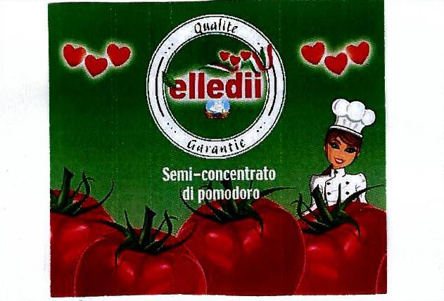 Paraqitja e markës ELLEDII Semi-concentrato di pomodoro