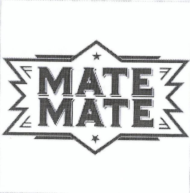 Paraqitja e markës MATE MATE
