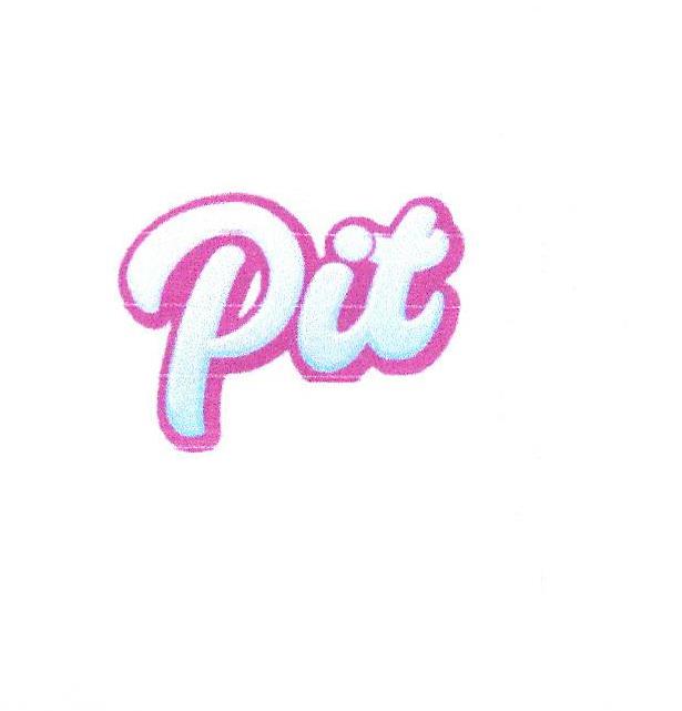Paraqitja e markës PIT