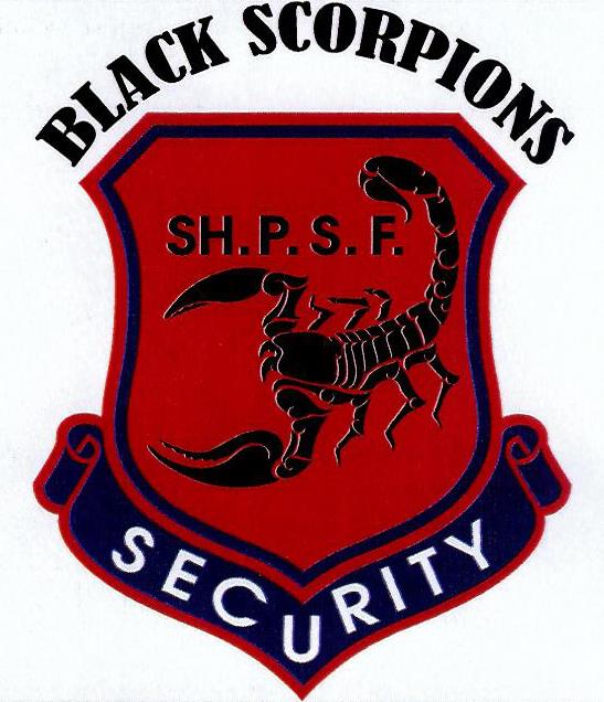 Paraqitja e markës BLACK SCORPIONS