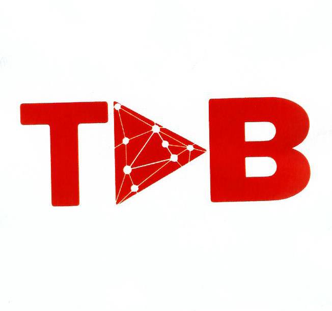 Paraqitja e markës TDB
