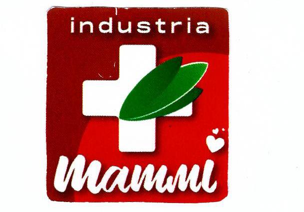Paraqitja e markës industria mammi