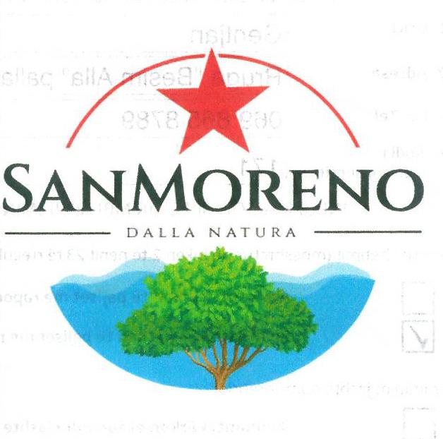 Paraqitja e markës SANMORENO