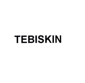 Paraqitja e markës TEBISKIN