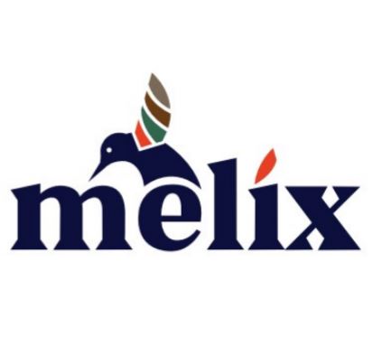 Paraqitja e markës melix