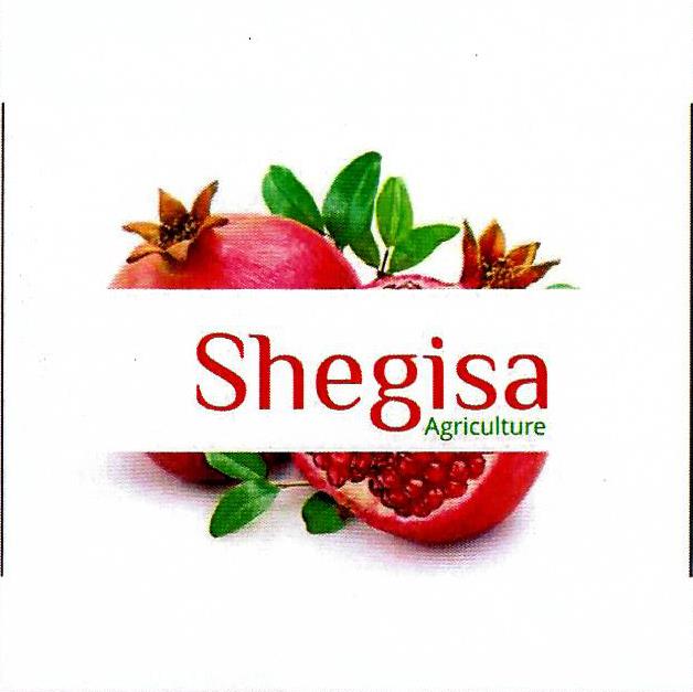 Paraqitja e markës Shegisa Agriculture