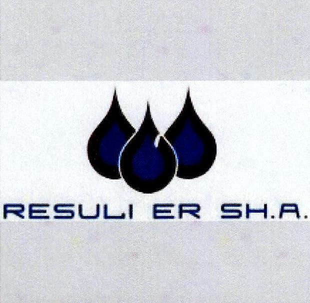 Paraqitja e markës RESULI ER SH.A.