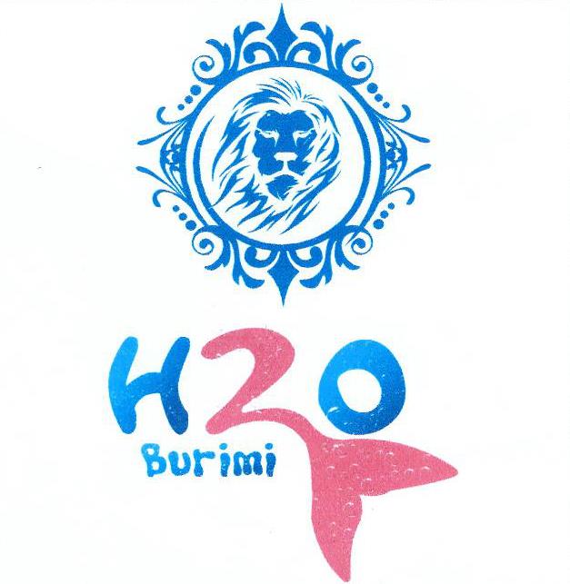 Paraqitja e markës H2O BURIMI
