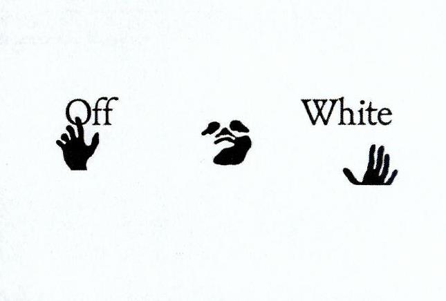 Paraqitja e markës Off White