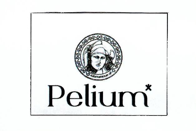 Paraqitja e markës Pelium