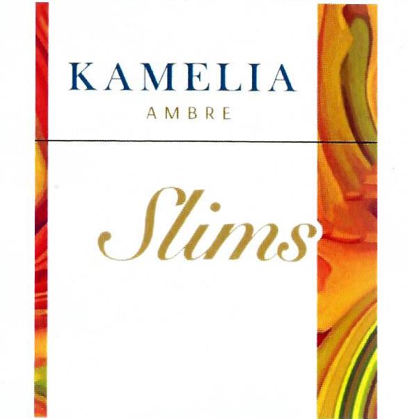 Paraqitja e markës KAMELIA AMBRE Slims