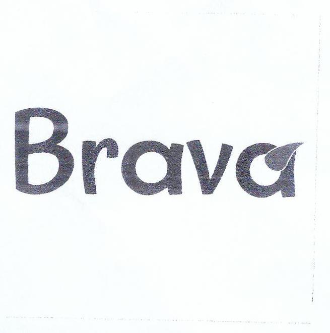 Paraqitja e markës Brava