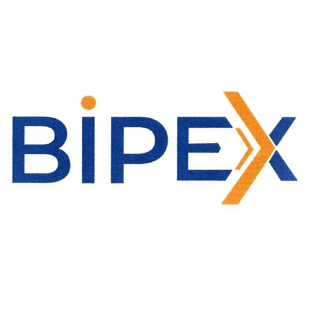 Paraqitja e markës BIPEX