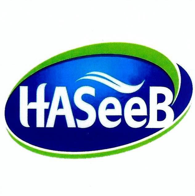 Paraqitja e markës HASeeB