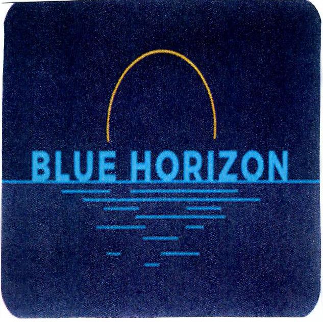 Paraqitja e markës BLUE HORIZON