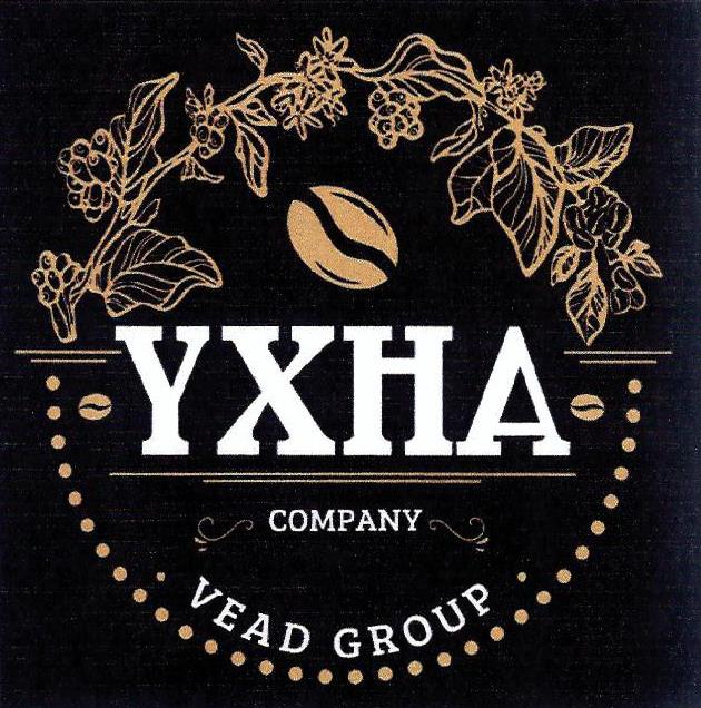 Paraqitja e markës YXHA COMPANY VEAD GROUP