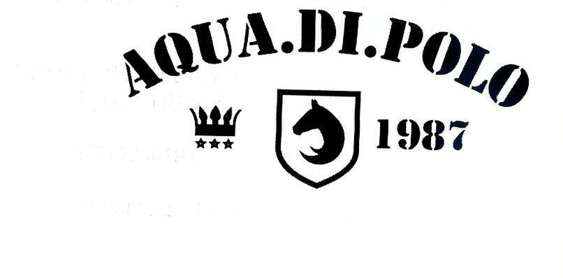 Paraqitja e markës AQUA.DI.POLO 1987