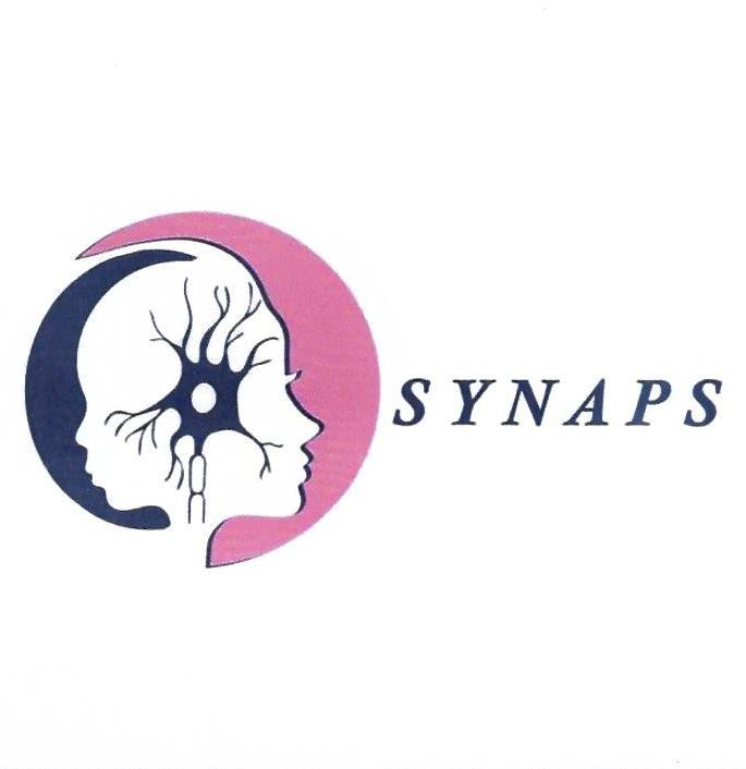 Paraqitja e markës Synaps