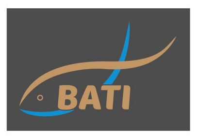 Paraqitja e markës BATI