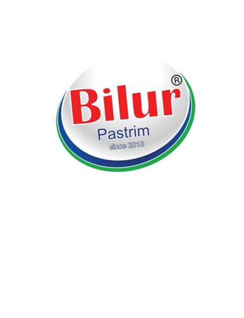 Paraqitja e markës Bilur