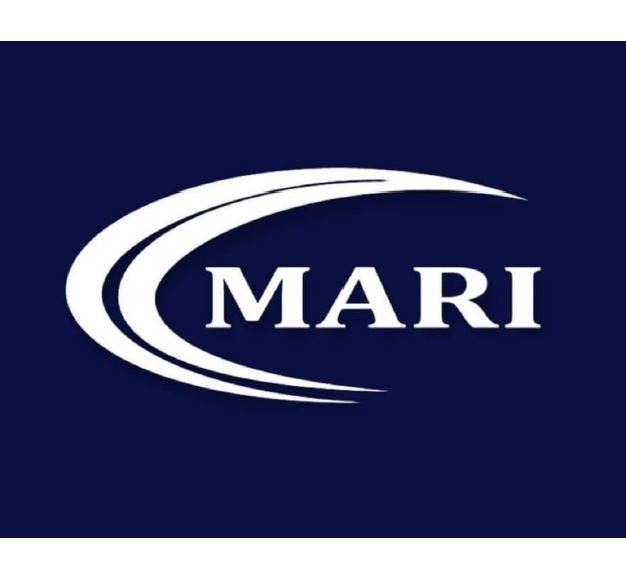 Paraqitja e markës MARI