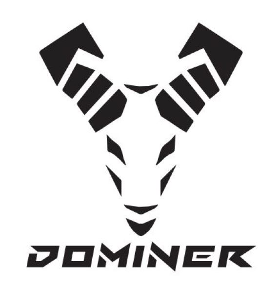 Paraqitja e markës DOMINER