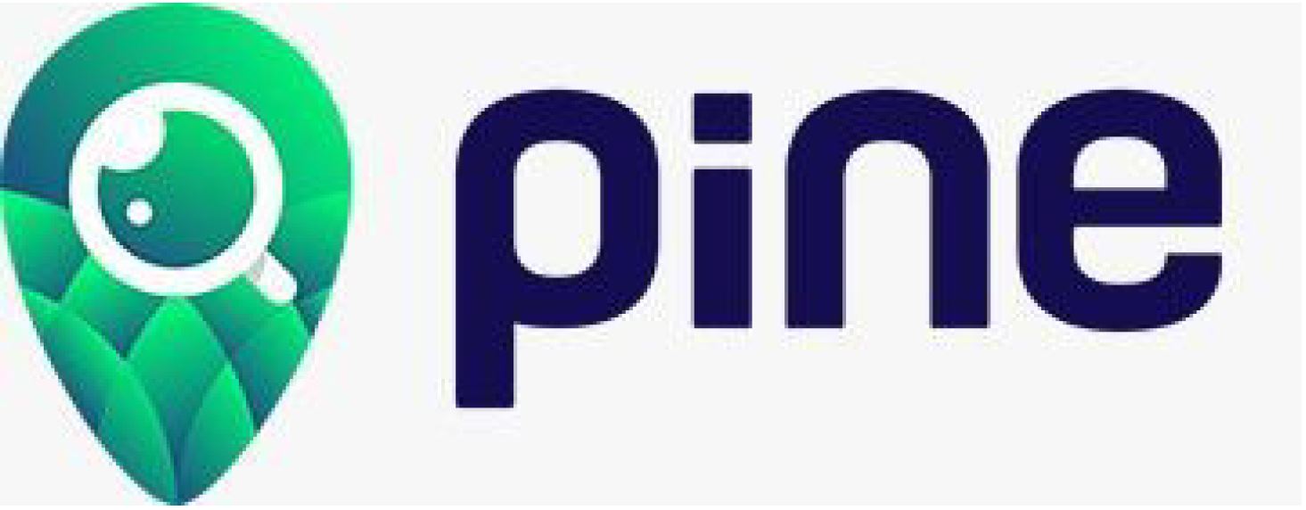 Paraqitja e markës pine