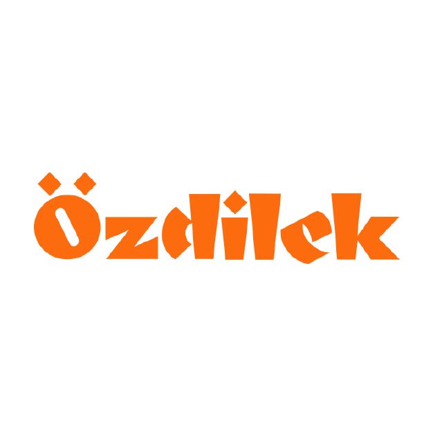 Paraqitja e markës Özdilek