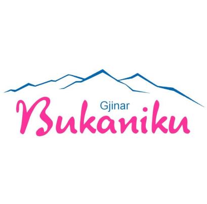 Paraqitja e markës Gjinar BUKANIKU