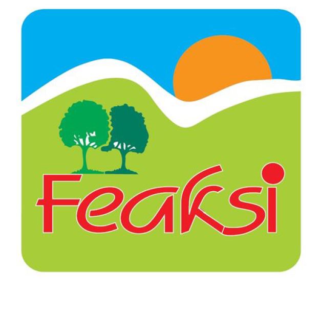 Paraqitja e markës Feaksi