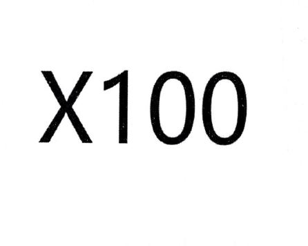 Paraqitja e markës X100