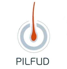Paraqitja e markës PILFUD