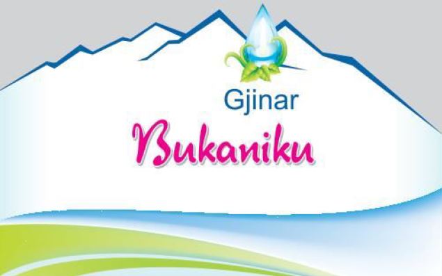 Paraqitja e markës Bukaniku