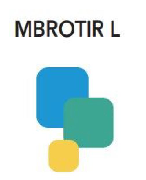 Paraqitja e markës MBROTIR L