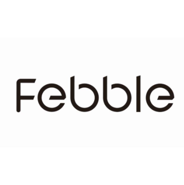 Paraqitja e markës Febble