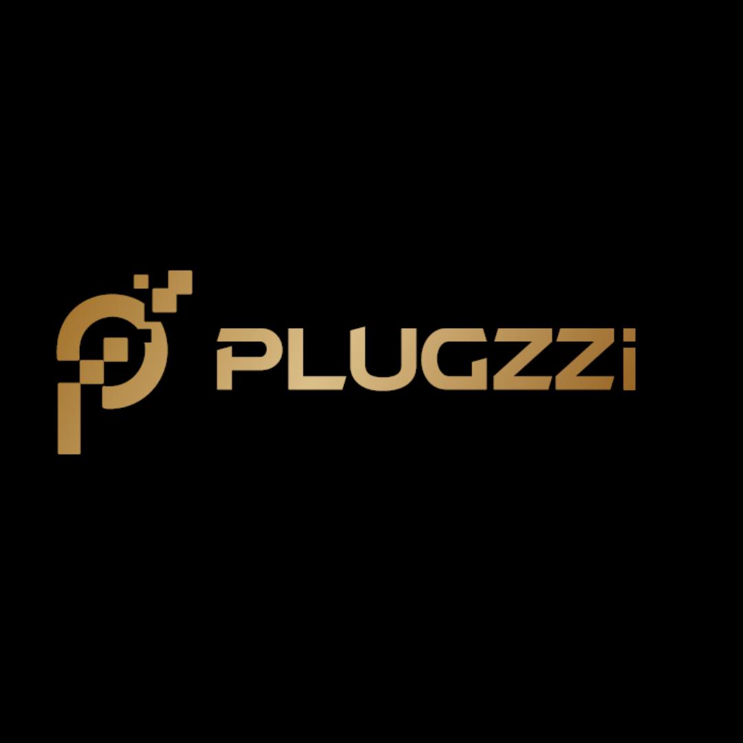 Paraqitja e markës PLUGZZi