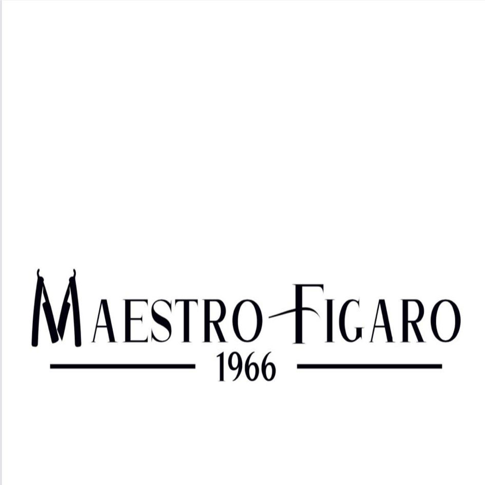 Paraqitja e markës Maestro Figaro 1966