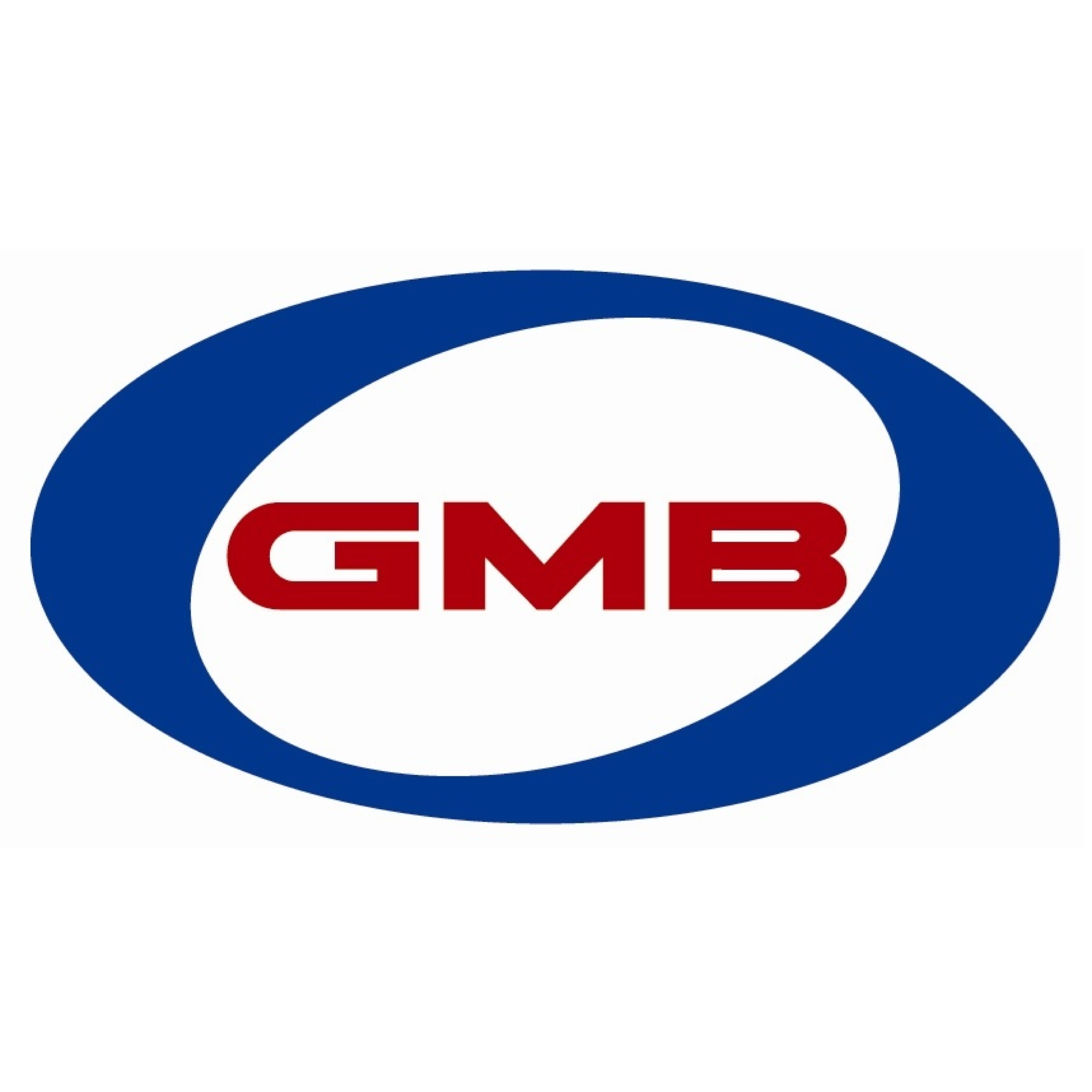 Paraqitja e markës GMB