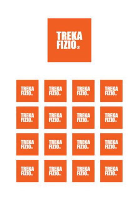 Paraqitja e markës TREKA FIZIO