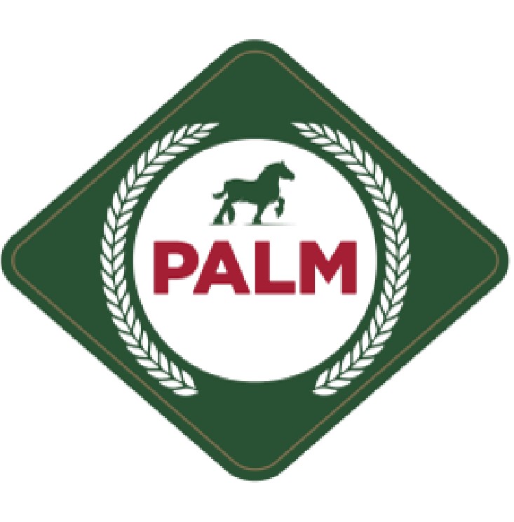 Paraqitja e markës Palm