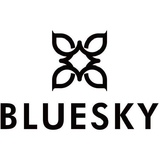 Paraqitja e markës BLUESKY
