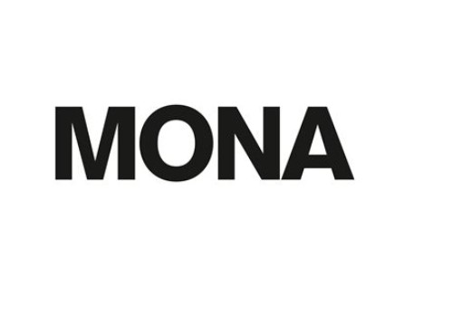 Paraqitja e markës MONA