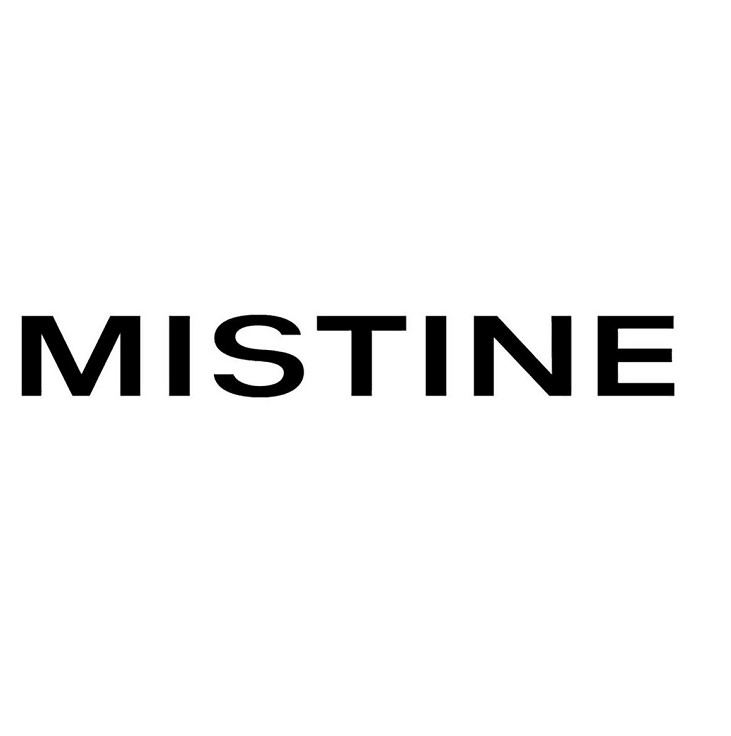 Paraqitja e markës MISTINE