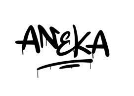 Paraqitja e markës Aneka