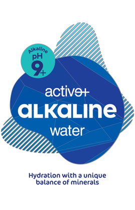 Paraqitja e markës ALKALINE
