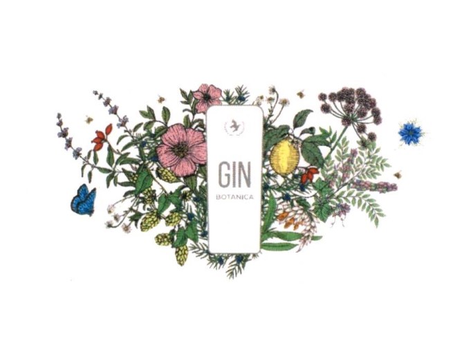 Paraqitja e markës GIN BOTANICA
