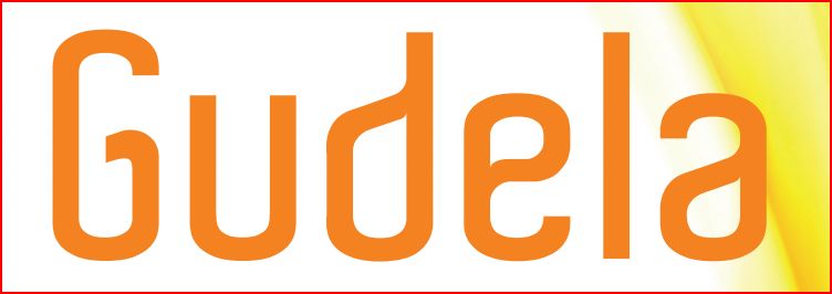 Paraqitja e markës Gudela