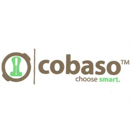 Paraqitja e markës COBASO