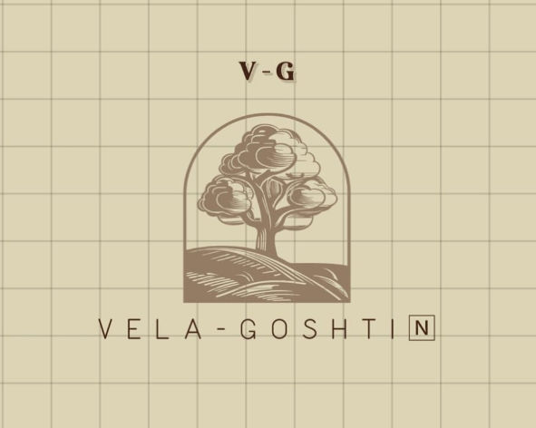 Paraqitja e markës V-G VELAGOSHTIN