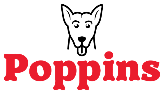Paraqitja e markës POPPINS